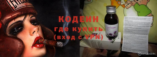 хмурый Алзамай