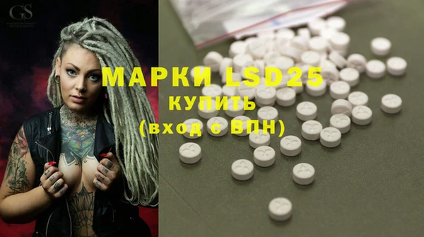 хмурый Алзамай